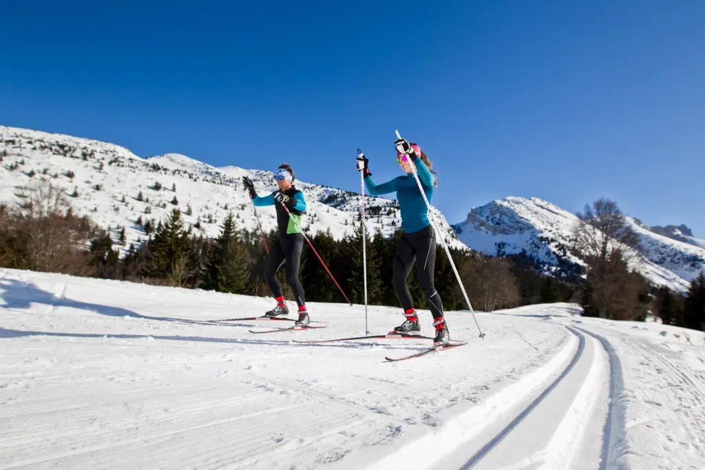 Les Montagnes de Lans ski resort