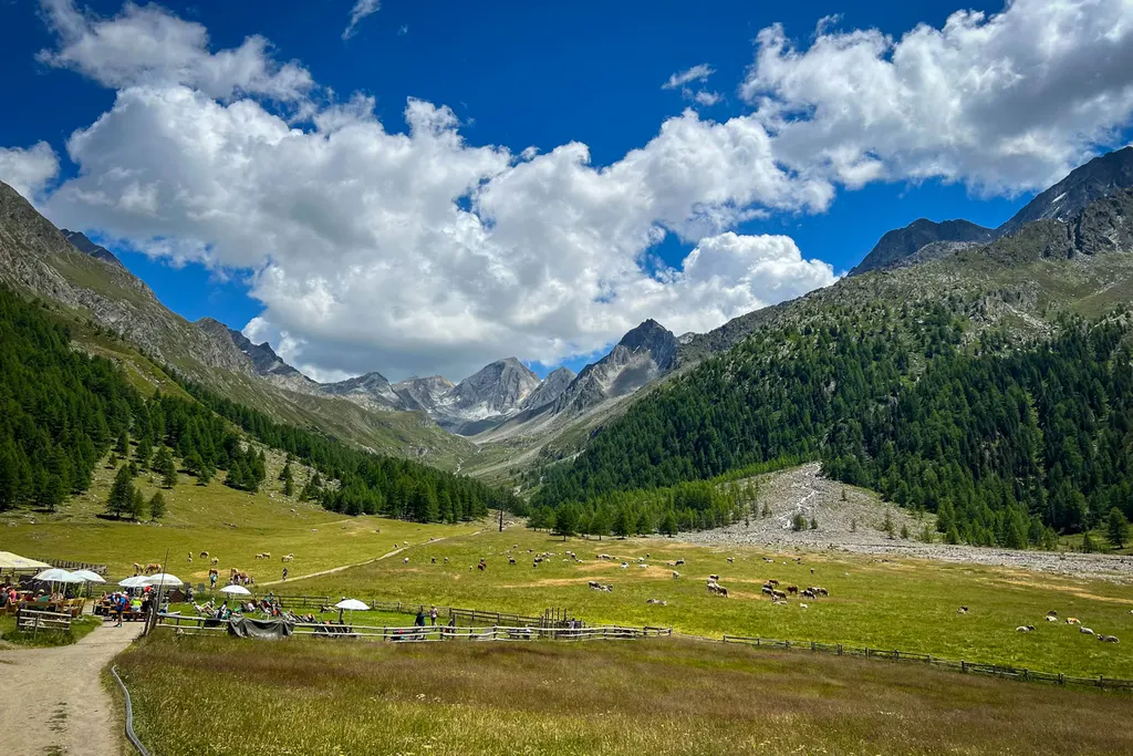 Photo 15, Italy: photos from July 2023