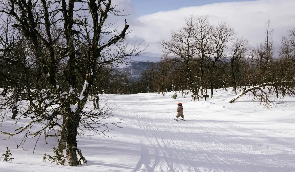 Dombås Skiheiser ski resort