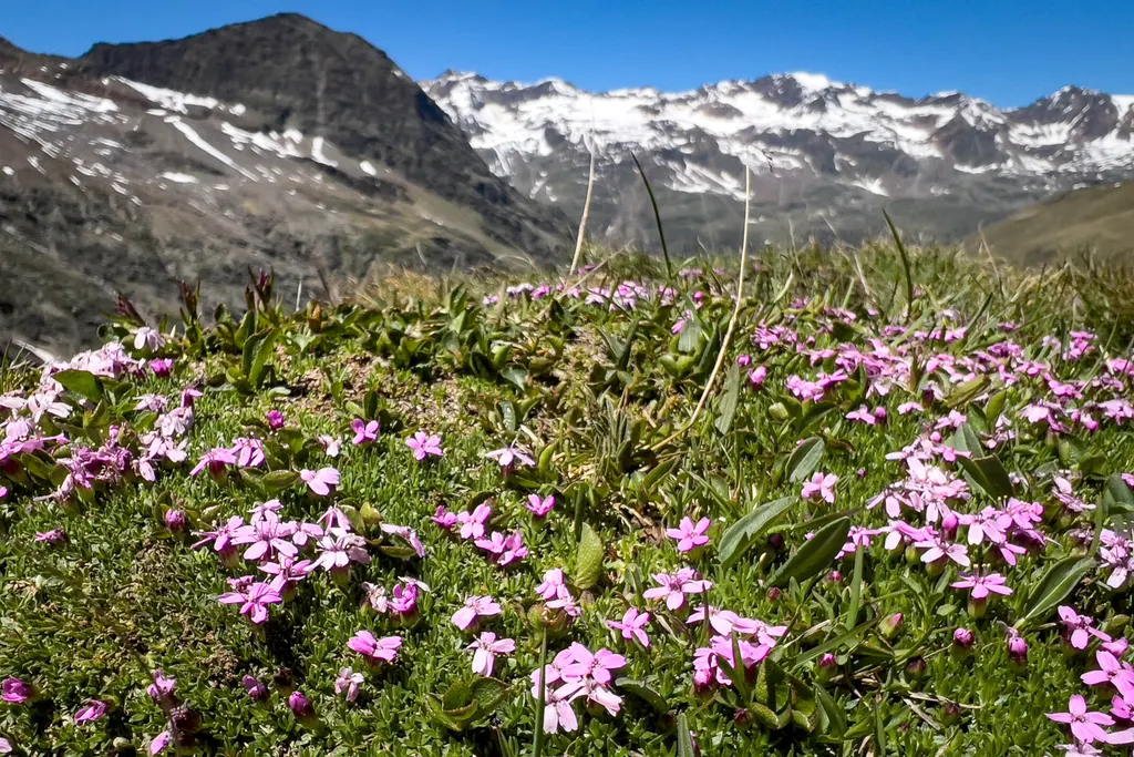 Obergurgl in Tyrol. Photo: skionline.pl/J.Ciszak