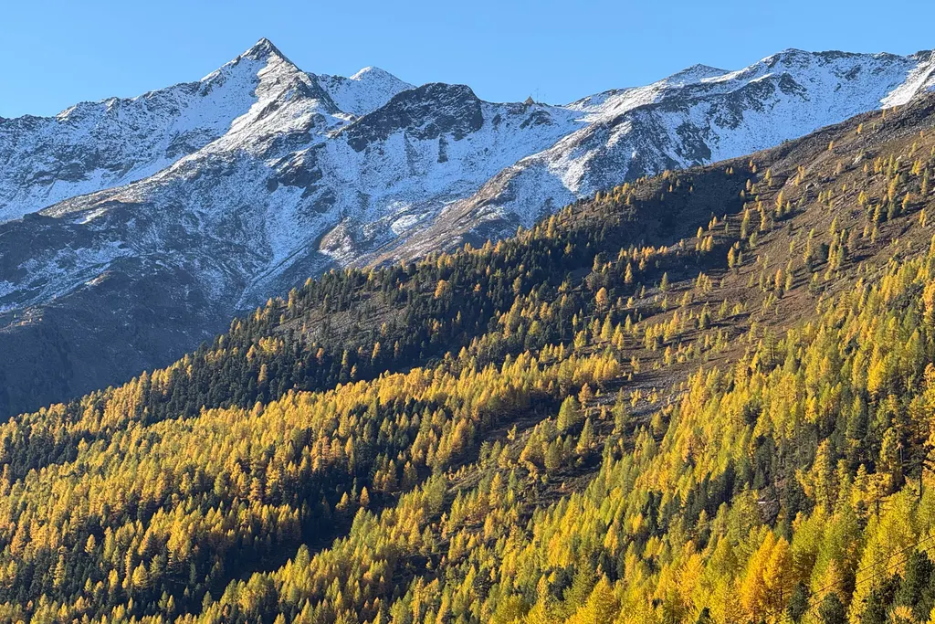 Maso Corto / Alpin Arena Senales. Photo: skionline.pl/J.Ciszak