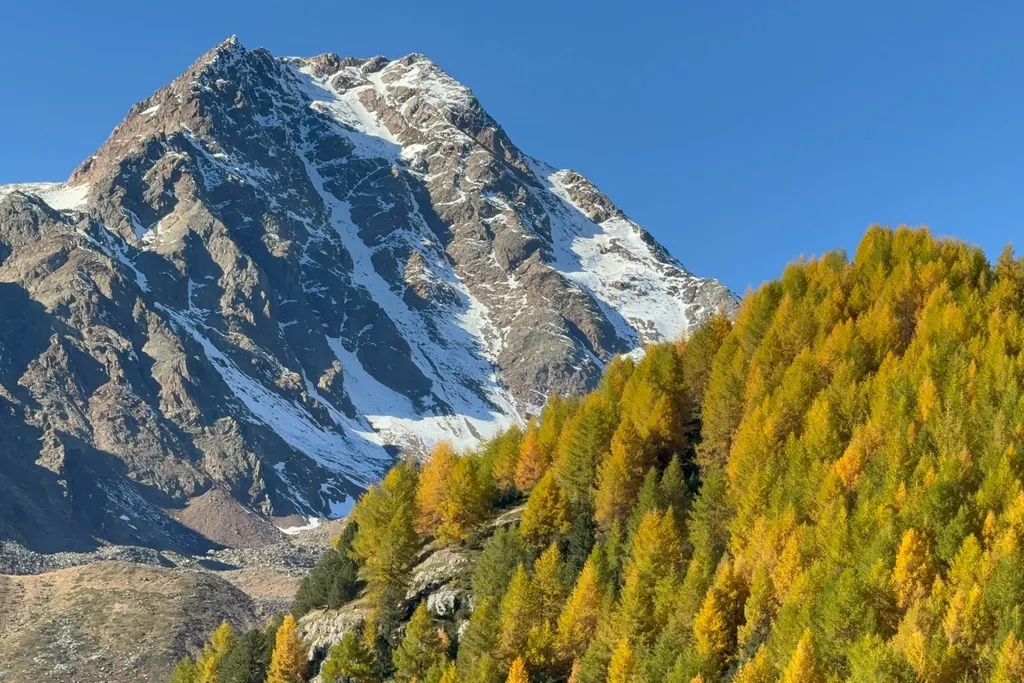 Maso Corto / Alpin Arena Senales. Photo: skionline.pl/J.Ciszak