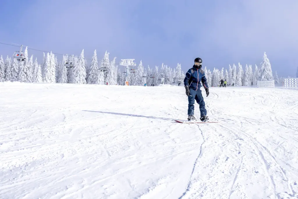 Massif des Brasses ski resort