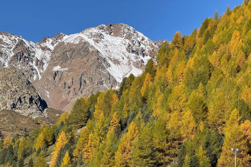 Maso Corto / Alpin Arena Senales. Photo: skionline.pl/J.Ciszak