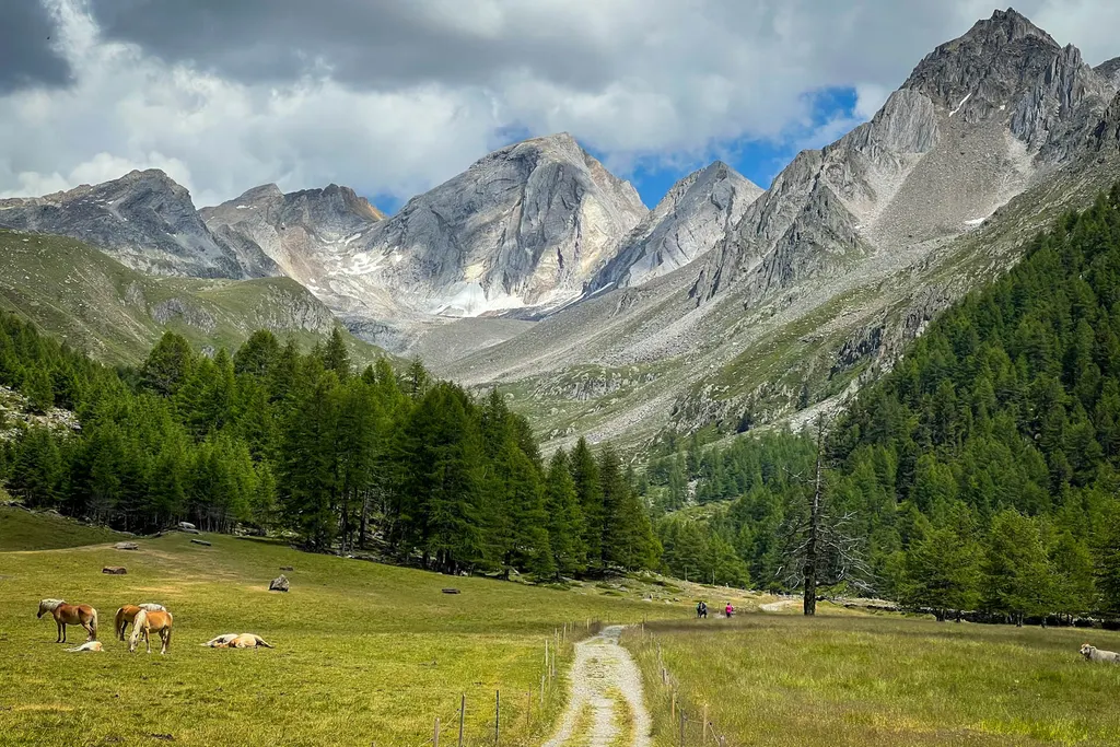 Photo 21, Italy: photos from July 2023