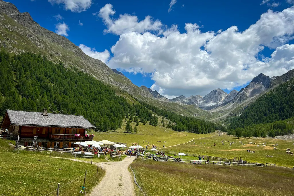 Photo 14, Italy: photos from July 2023