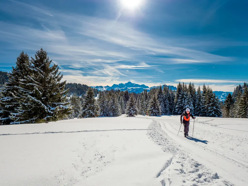 Praz de Lys-Sommand ski resort