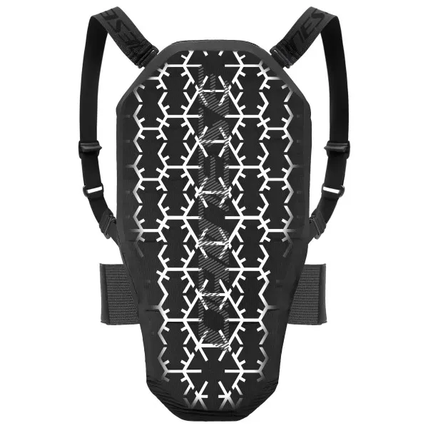 Dainese Flexagon Back Protector 2