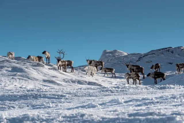 SkiStar 2022/23: new lifts, a sustainable mountain experience and unbeatable skiing
