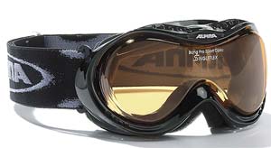 ski goggles Alpina Bang Optic
