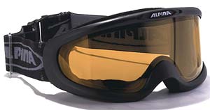 ski goggles Alpina Magnum