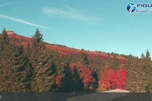 Live cam Praded  Praded - Ovcárna (LIVE Stream)