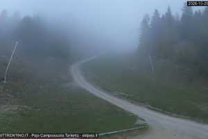 Live cam Val di Sole Pejo Campo Scuola Scoiattolo