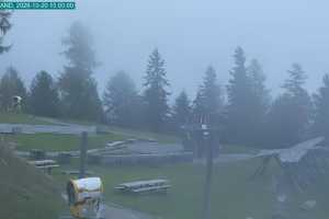 Live cam Val di Sole Pejo Campo primi passi