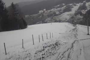 Live cam Wierchomla  Stacja Narciarska Wierchomla