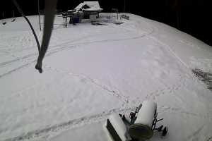 Live cam Limanowa Limanowa-Ski Limanowa ski NOWOŚĆ