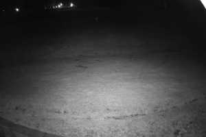 Live cam Zieleniec Sport Arena  Zieleniec Winterpol NOWOŚĆ