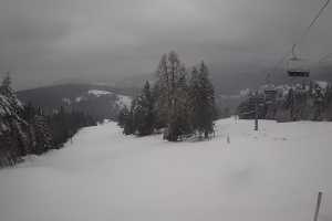 Live cam Wierchomla  Stacja Narciarska Wierchomla - Polanki