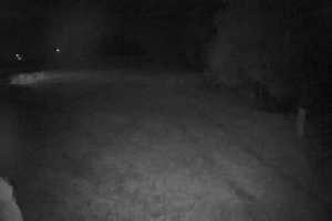 Live cam Puławy KiczeraSki Kiczera SKI