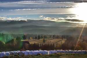 Live cam Zakopane  Tatry na zywo